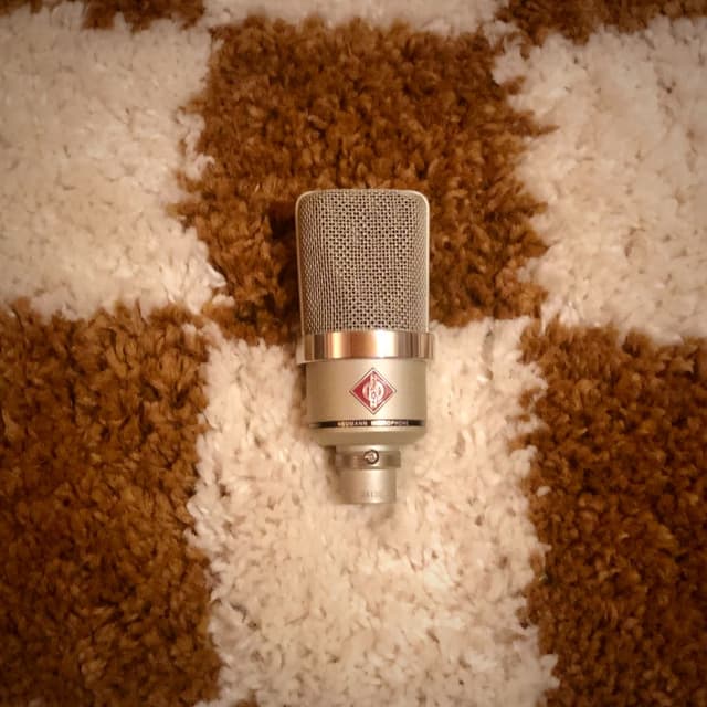 Neumann TLM 102 (x2)